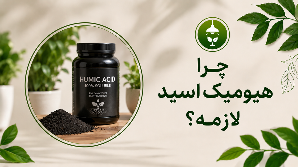 چرا مصرف هیومیک اسید مفید و لازمه؟
