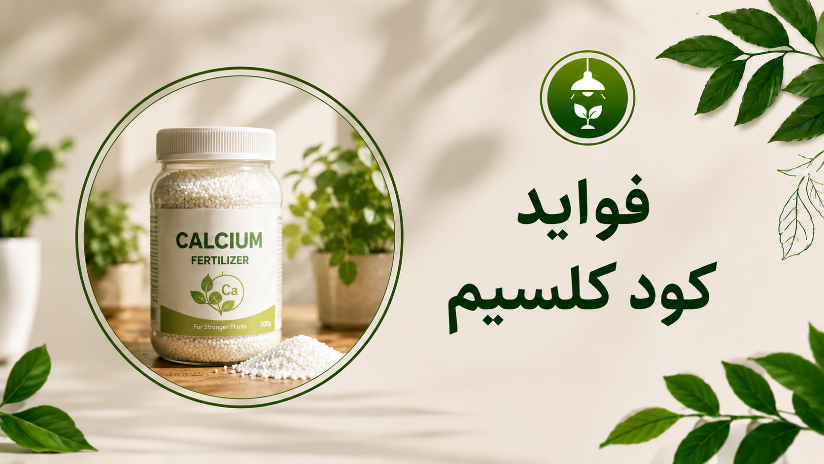 فواید کود کلسیم