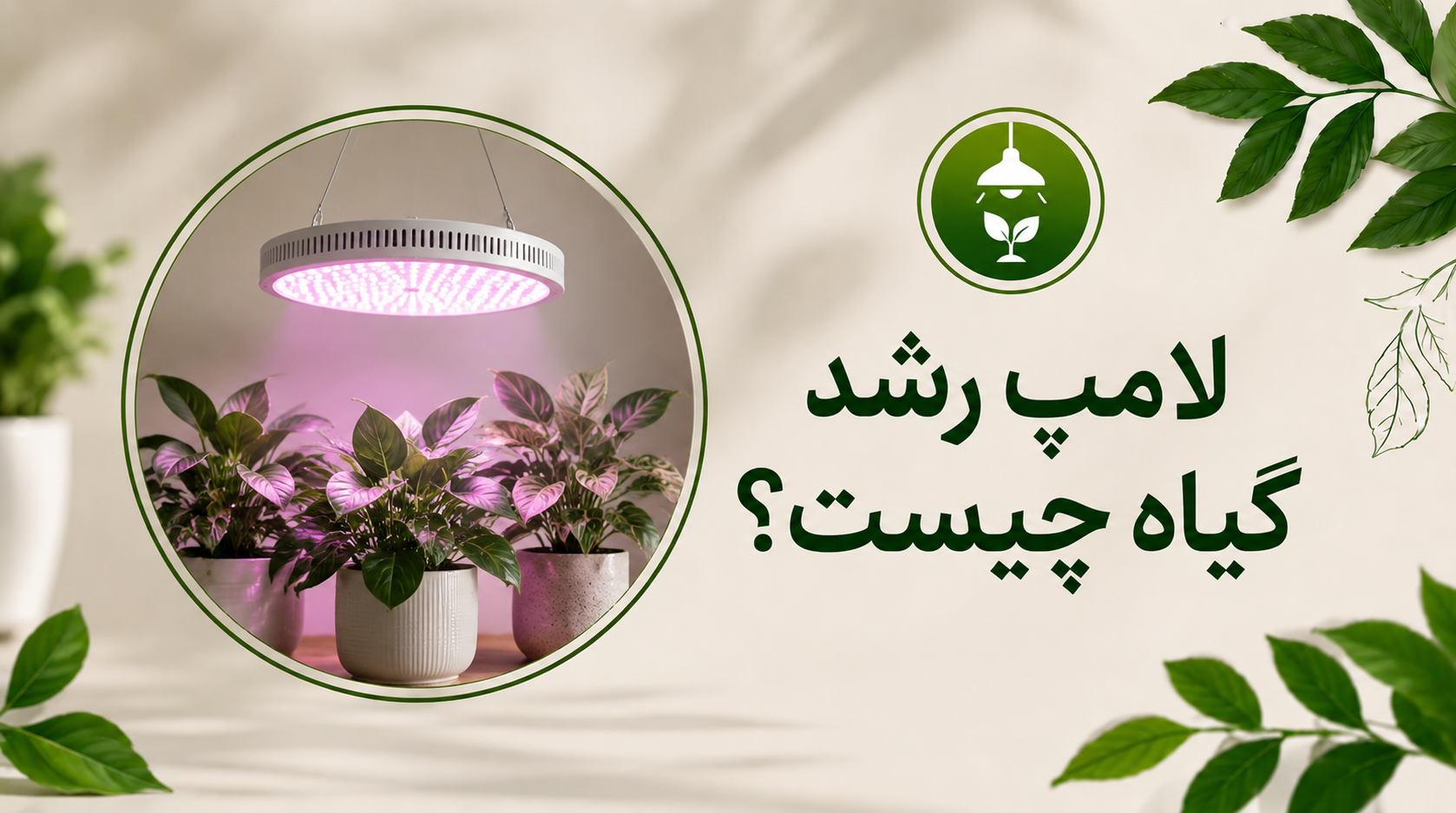 لامپ رشد گیاه